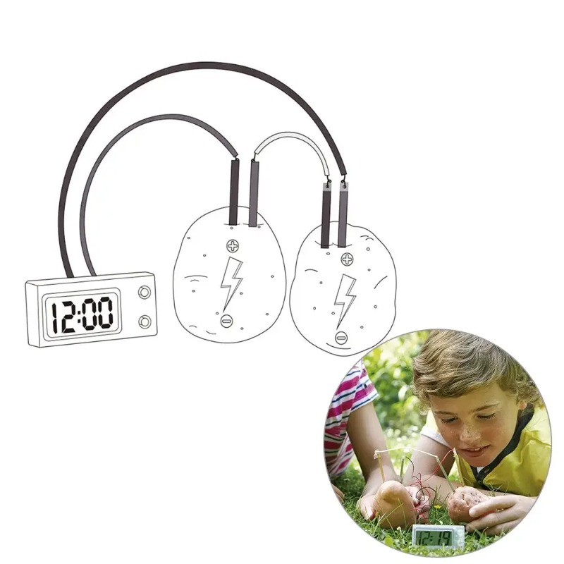 Science Nature - Nouveau jouet Montessori pour enfants, pomme